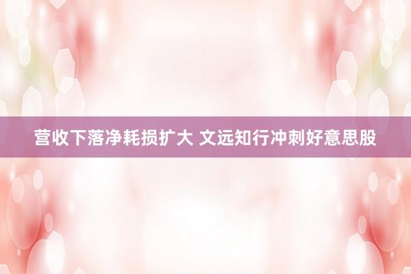 营收下落净耗损扩大 文远知行冲刺好意思股